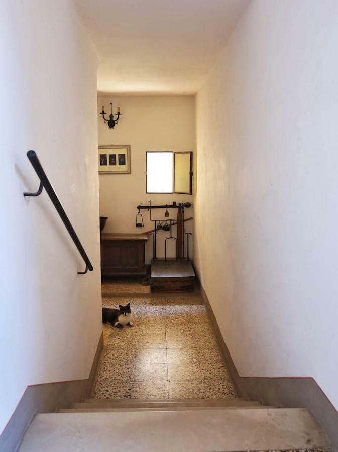 Appartamento Benozzo San Gimignano Exterior photo
